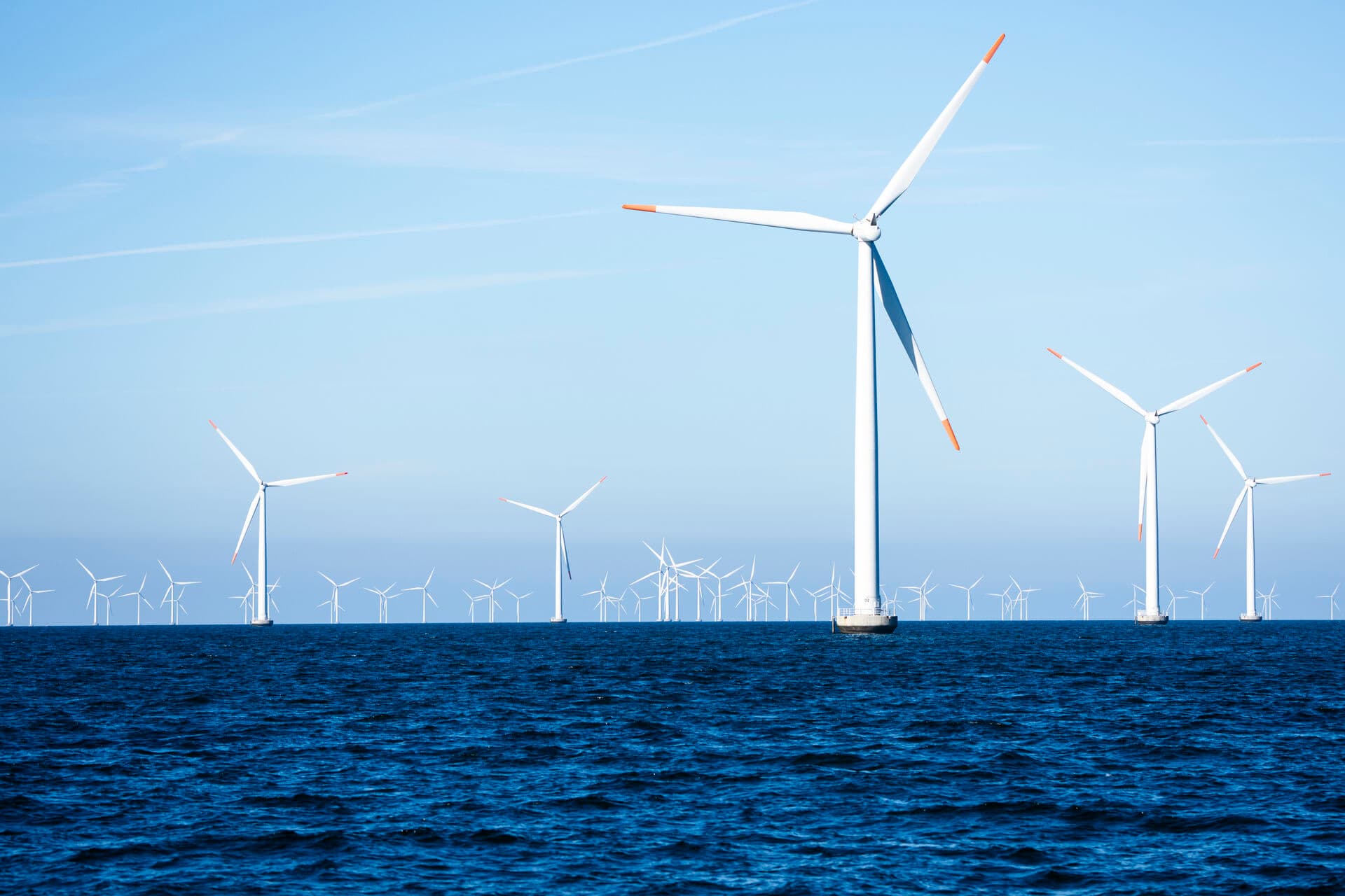 Ingen bød på det stort anlagt havvindudbud i Nordsøen sidste år. Dermed kommer Danmark til at mangle grøn strøm på den mellemlange bane, lyder der fra Green Power Denmark. Det hul skal lukkes med hjælp af vind og sol på land. 