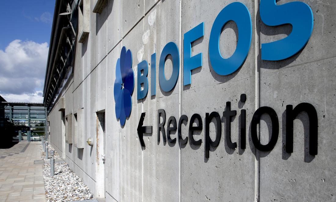 Selv mener Biofos-direktøren, at oplysningerne om ansættelsen af fyret ARC-chef ingen relevans har for selskabets bestyrelse.