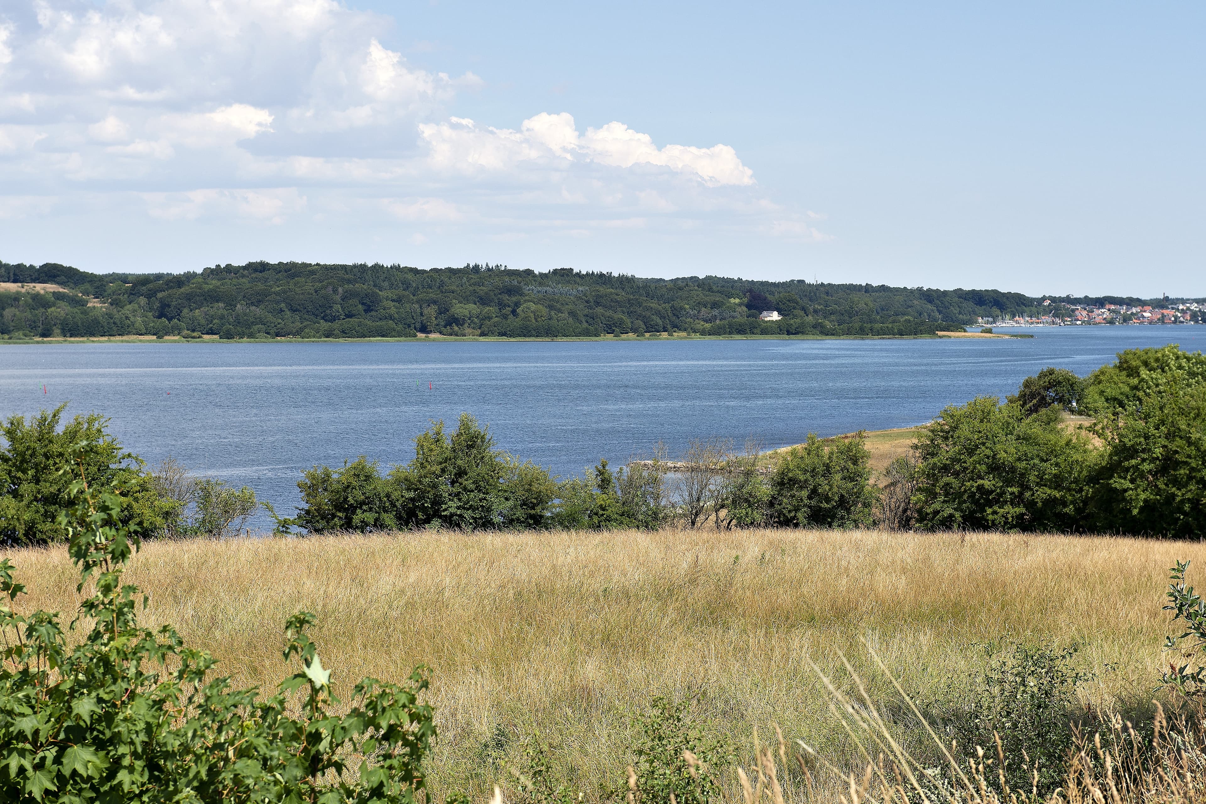 Det stille og varme vejr giver frygt for iltsvind flere steder i Mariager Fjord og Limfjorden. I 1997 blev netop Mariager Fjord ramt af iltsvind hvilket gav masser af døde fisk i vandet.