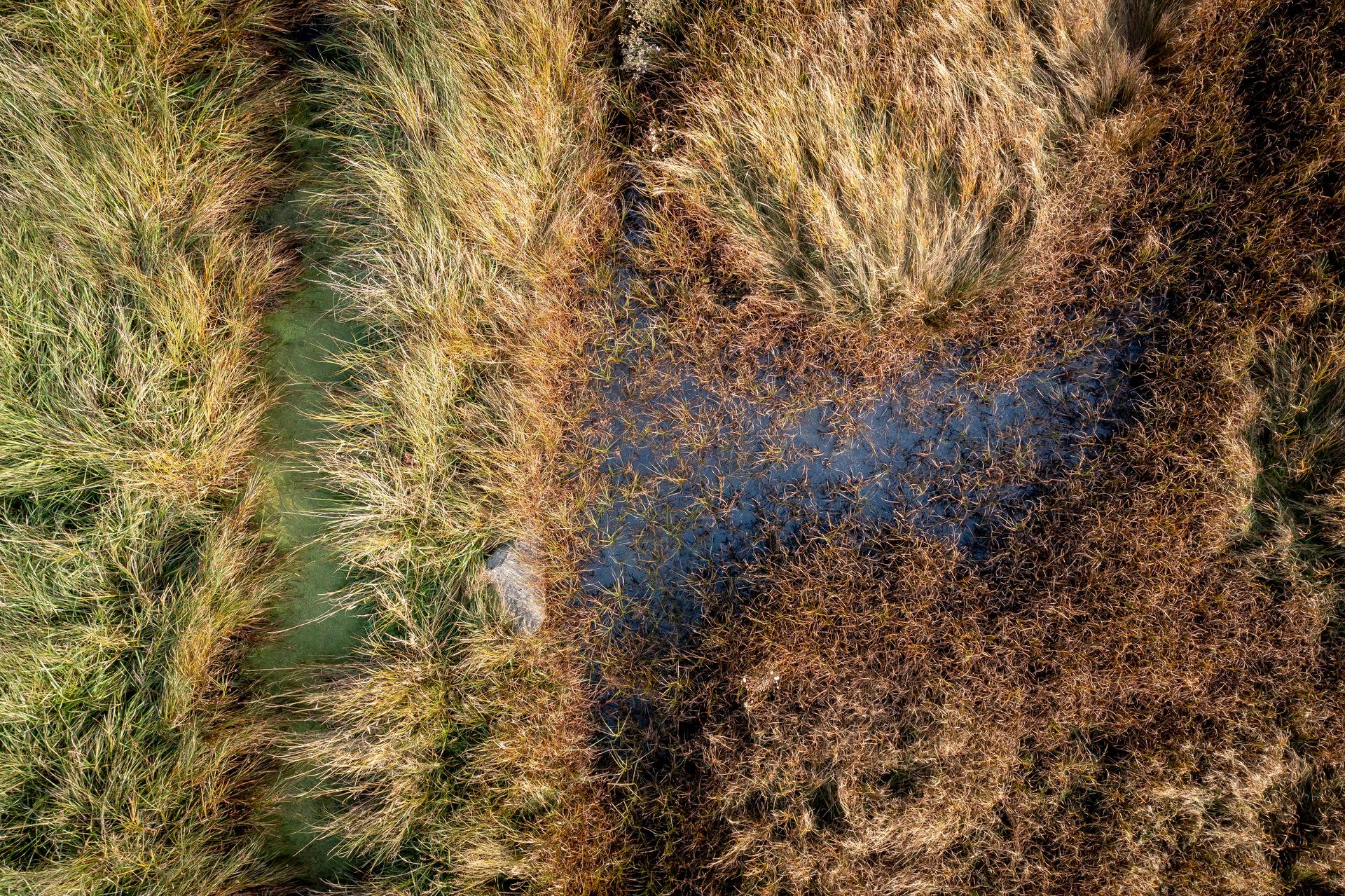  Et forurenet vandløb, fotograferet fra drone.