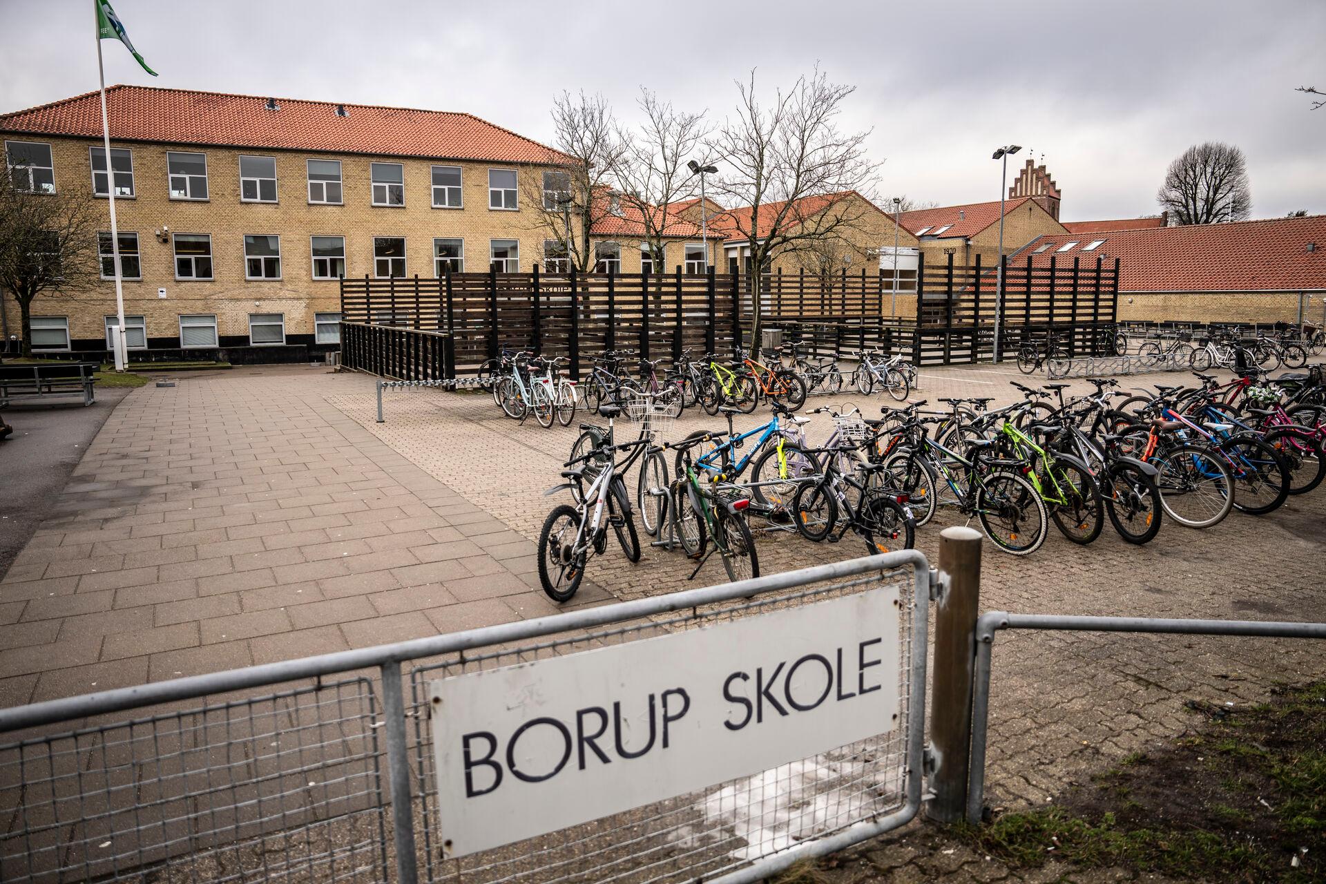 Det er blandt andet beretninger om vold og grænseoverskridende adfærd blandt elever her på Borup Skole i Køge, der har ført til en undersøgelse af skoleelevers adfærd. Også en skole i Odense, Agedrup Skole, har været i søgelyset. 